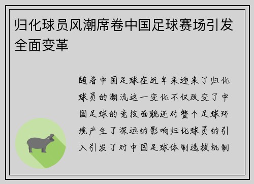 归化球员风潮席卷中国足球赛场引发全面变革